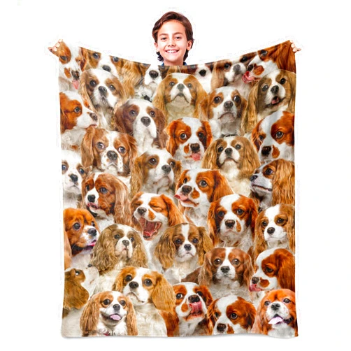 WIFILLET Cavalier King Charles Dog Throw Blanket,Cavalier King Charles Gifts for Dog Lovers,Flannel Blanket for Dog Mom Dad,Gifts for Kid Girls Boys Halloween Christmas,40