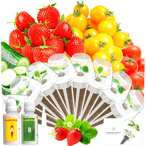 LYKOCLEAN Fruits Seed Pod Kit for AeroGarden, Ahopegarden, iDoo, GARDENCUBE, MUFGA with Strawberry, Cucumber, Red/Golden Cherry Tomato, Compatible with All Indoor Hydroponics Growing System, 8-Pod