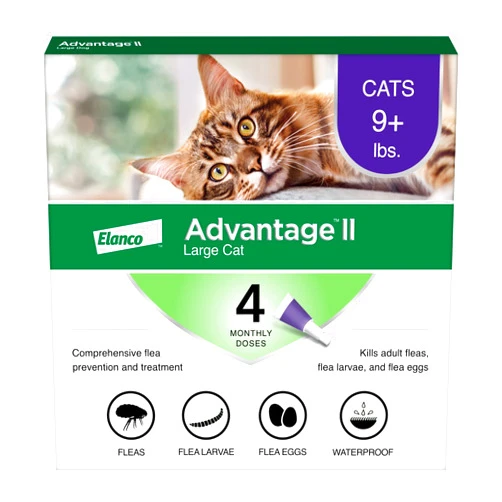 Advantage II Large Cat Vet-Recommended Flea Treatment & Prevention | Cats Over 9 lbs. | 4-Month Supply