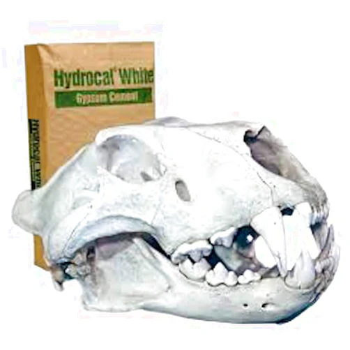 Capital Ceramics Hydrocal Plaster for Scenery, Dioramas, Dentistry and Mold Casting Plaster Resealable Bag Great for Model Railroads (10 Pounds)