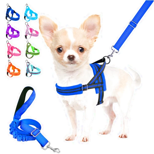 Lukovee Dog Harness and Leash Set, Soft Padded Small Dog Harness, Neck & Chest Adjustable Reflective Vest Puppy Harness with 4ft Lightweight Anti-Twist Dog Leash for Small Dogs (XX-Small, Blue)