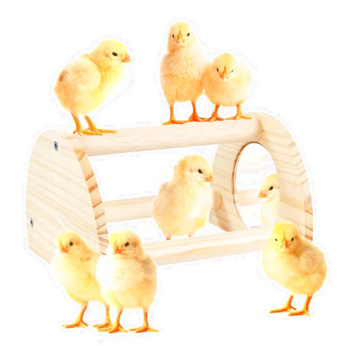 Cubolar Pine Chicken Perch with Mirror, Strong Chick Jungle Gym Roosting Bar, Chicken Toys for Coop and Brooder, Training Perch Toys for Large Bird, Parrot, Macaw, Hens (Small)