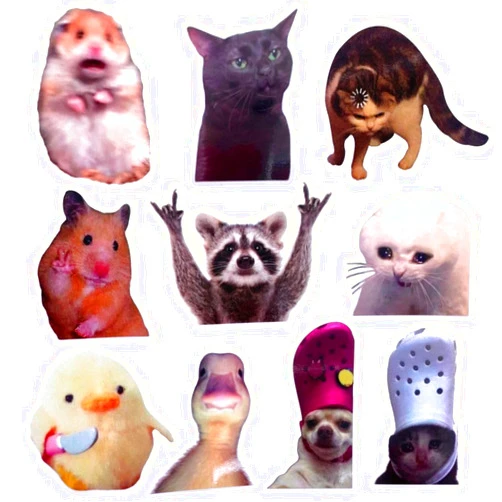 YJ PREMIUMS 10PC Funny Meme Animals Fridge Magnets, Fun Cute Weird Magnetic Crying Cat Dog Hamster Duck Magnets for Gaming Kitchen Home Decor Bumper School Locker Work for Boys Girls Adult Accessories