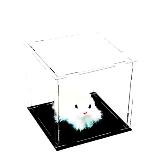 CieCian Clear Acrylic Display Case Box ，Versatile Collectibles Display Dustproof Showcase with Thickening Base，for Display Action Figures Home Storage Organizing Toys (8x8x8 inch/20x20x20cm)
