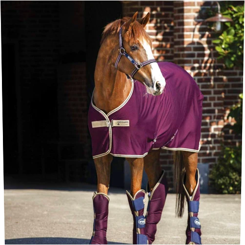 Horseware Ireland Amigo Jersey Horse Cooler Fig/Tan 84