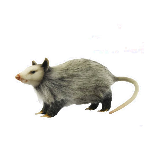 HANSA Opossum 12