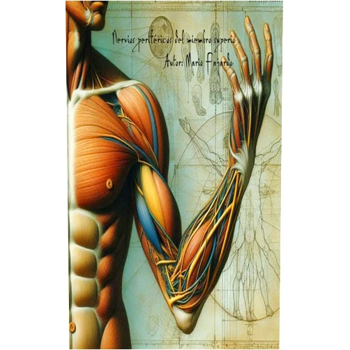 Spanish Edition by Mario Fajardo Pérez (Author), Karla Espinoza Morales (Author), Jose Manuel Amarillas (Author), Liceth JARA Pacheco (Author), Luis Reyes (Author), Dexter Salazar (Author), Idaleidys German (Author), Daniel Hurtado (Author), Linda Alejandra Robles Gastélum (Author) & 6 more Format: Kindle Edition Nervios periféricos del miembro superior para la reducción de fracturas (Spanish Edition)