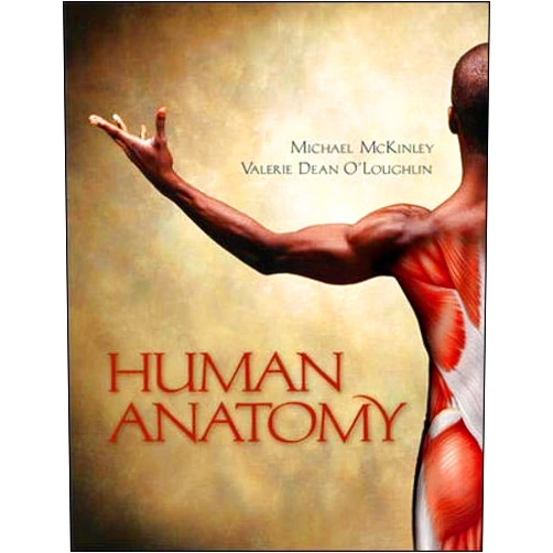 By Michael McKinley (Author), Valerie O'Loughlin (Author) Human Anatomy