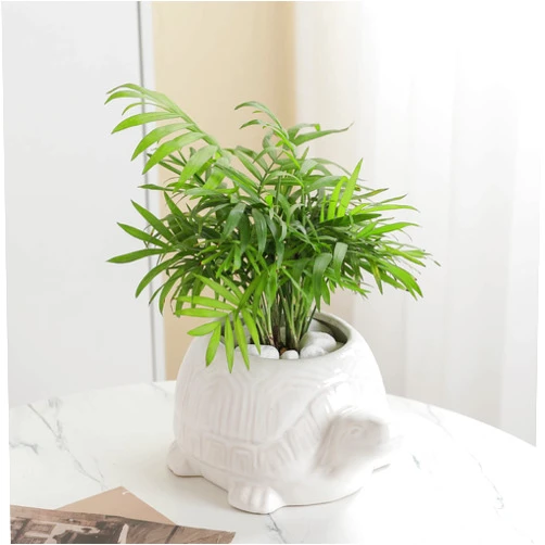 FiresGift Turtle Ceramic Succulent Planter White Plant Pot Flowerpot Animal Garden Pots for Home Office Desk