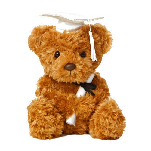 Aurora World Graduation - 8.5