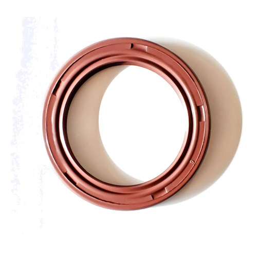 EAI 40mm x 55mm x 6mm FPM/FKM TC Double Lip w/Stainless Steel Spring Oil Seal. Comp. /w Viton Shaft Seal