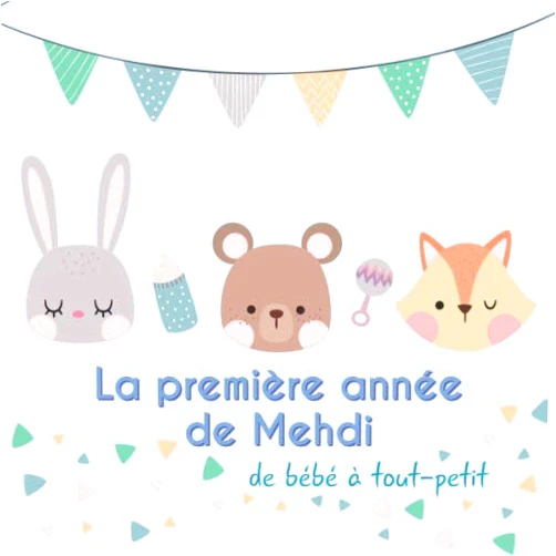 BabyMemories FR Publishing La première année de Mehdi - de bébé à tout-petit: Album bébé à remplir pour la première année de vie - Album naissance garçon (French Edition)