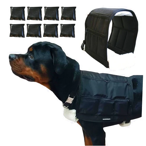 ActiveDogs.com ActiveDogs Weighted Dog Vest with Weights - Dog Agility Training Equipment Jacket for Dog Exercise, Strength, Pulling & Endurance - Burn Calories & Build Muscle - Small 22-27 IN, 8 x 1/2LB