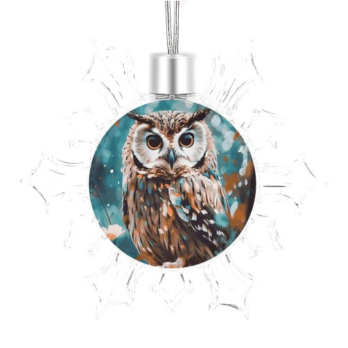 DWVTSLH Ornaments Animal Cute Owl Printed Christmas Ornaments Christmas Snowflake Photo Frame Ornaments Silver Metal Christmas Photo Frame Ornaments for Christmas Home Decoration