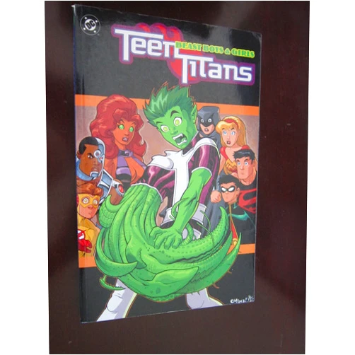 Ben Raab,Geoff Johns Teen Titans 3: Beast Boys & Girls