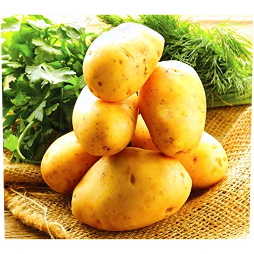 Simply Seed™ - 3 LB - German Butterball Potato Seed - Non GMO - Naturally Grown - Order Now For Planting - Real Potatoes