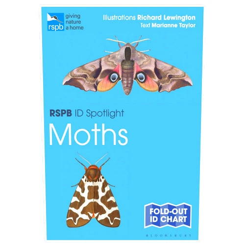 Marianne Taylor,Richard Lewington RSPB ID Spotlight - Moths