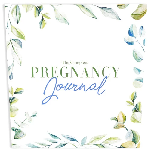Bibi & Beau Pregnancy Journal & Baby Memory Book - Great First Time Mom Gift - Keepsake Pregnancy Book & Journals - 40 Weekly Calendars Milestone Journey - For Ultrasound Photos & Tracking