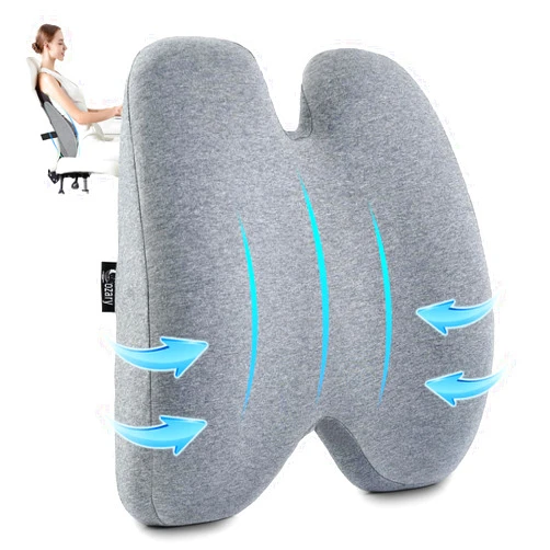 Cozary Lumbar Support Pillow for Office Chair Back Support Pillows for Car, Computer, Gaming Chair, Recliner Memory Foam Back Cushion for Pain Relief Improve Posture with Adjustable Strap