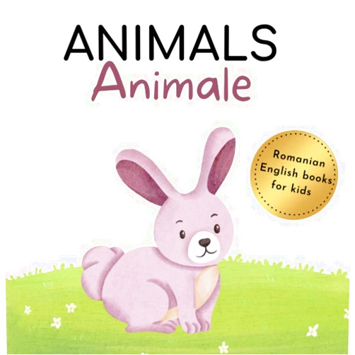 Irina Grigoras My first romanian book, romanian picture book, books in romanian language for kids, romanian visual dictionary: romanian to english vocabulary, ... dictionary kids, romanian childrens books