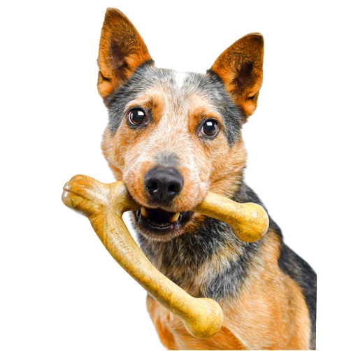 Pet Qwerks Wishbone BarkBone - Nylon Chew Toy for Aggressive Chewers - Peanut Butter Flavor - 8.25