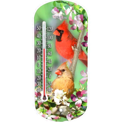 Taylor Cardinal Window Thermometer