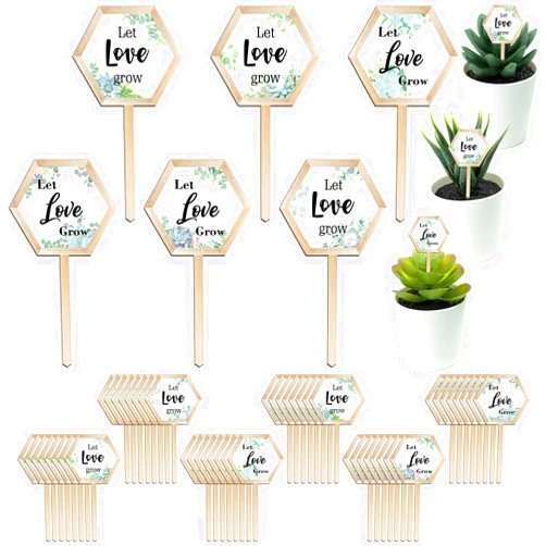 Amyhill 48 Pcs Let Love Grow Succulent Tags Wedding Favors Hexagon Wooden Plant Stakes Label Garden Marker Plant Sign for Wedding Gift Thanksgiving Baby Shower Seed Potted Flower Garden (Love Style)