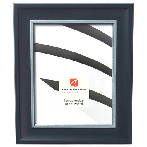 Craig Frames Martin Picture Frame, 4 x 10 Inch, Black Velvet with Silver
