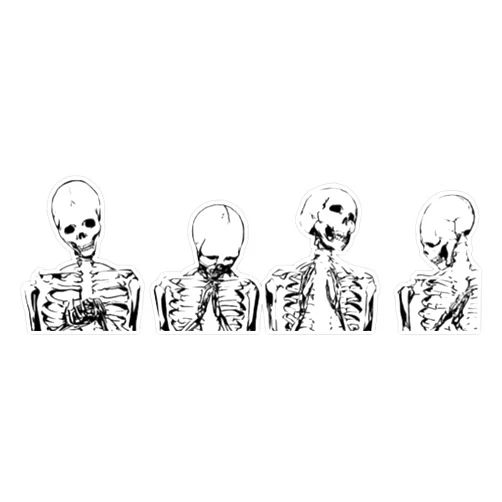 TCT Trading Skull/Skeleton Aesthetic Vinyl Stickers Waterproof Decal Car, Laptop, Bumper Stickers 5