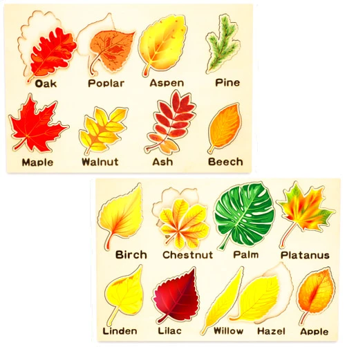 Kathfly 2 Pieces Leaf Wooden Jigsaw Puzzles Leaf Puzzle Montessori Toy Montessori Puzzle Early Educational Learning Puzzle for Birthday Gift Early Education School (Cute)
