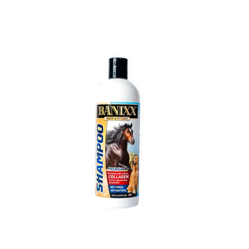 BANIXX Medicated Shampoo--Soap-Free --Incredible Marine Collagen—Pet skin Yeast Infections, Ringworm, Rain Rot, Horse Scratches, Dermatitis, Itchy Skin