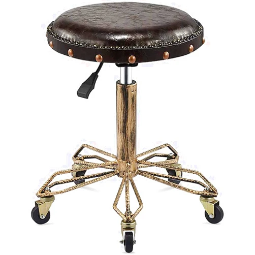 Qrwhip Work Stool Round Rolling Stools Stool with Wheels Rolling Heavy Duty Hydraulic for Shop Guitar Lab Tattoo Workbench Medical Adjustable Swivel Stool Chair for Salon Massage Tattoo Home Office