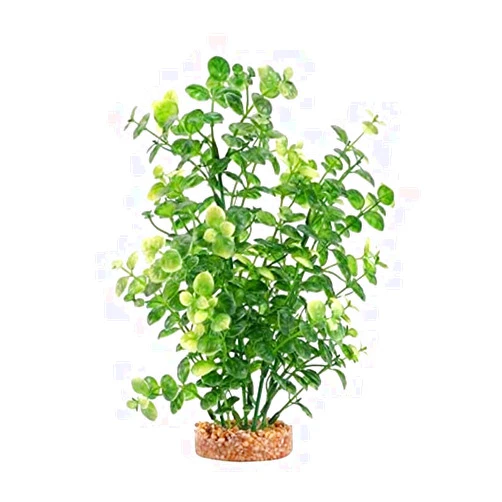Fluval Aqualife Green Bacopa Plant, Plastic Aquarium Plant Decoration 8 in
