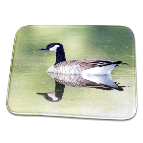 3dRose Bathroom Bath Rug Mat - USA, Ogle County, Illinois, Canada Goose Floating on Rock River Birds