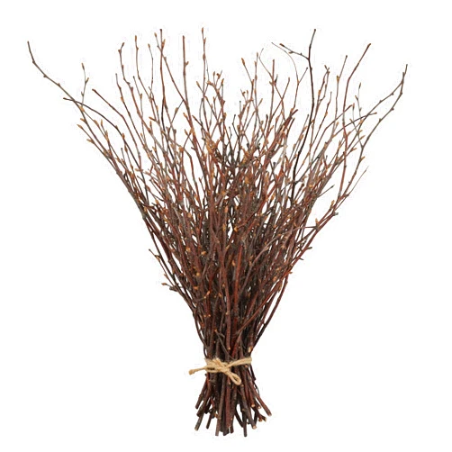 Uieke 50PCS Birch Twigs – 17 Inch Natural Dried Plants Decorative Birch Branches for DIY Crafts, Birch Sticks for Vases Wedding Arrangements Home Wreath Decor