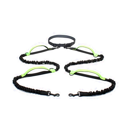QAZWSXED LESANGBAIHUODIAN Hands Free 2 Dog Leashes Bungee Retractable Dog Running Waist Leash Fit for Walking Jogging Training Hiking Fit for Large Dogs Supplies (Color : Green-Padded Handle)