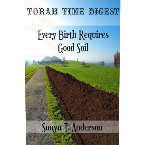 Sonya Anderson Torah Time Digest: Every Birth Requires Good Soil