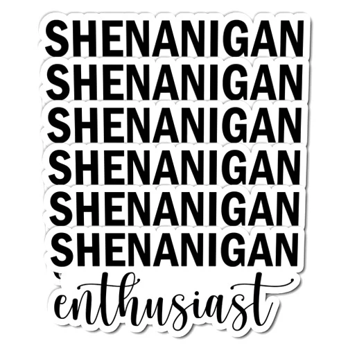 KIMAMZ Pack 6PCS Shenanigan Enthusiast Stickers Funny Sarcastic Quote Vinyl Waterproof Decals Decor Tumbler Kindle Laptop Water Bottle Phone Hard Hat Luggage Scrapbook Car Gifts