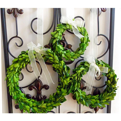 Wreath and Vine, LLC Small Mini Preserved Boxwood Wreath with Sheer Ribbon for Spring Summer Year Round Home Decor, Wedding Chair and Pew Decorations, Home Decor, Rustic Farmhouse Style, Green, Handmade, 8 Inch