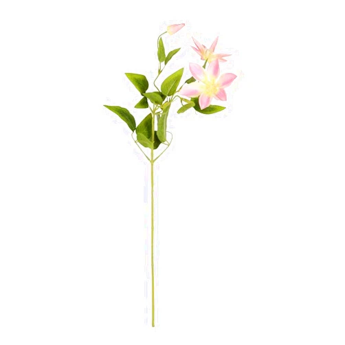 Vickerman 523605-25