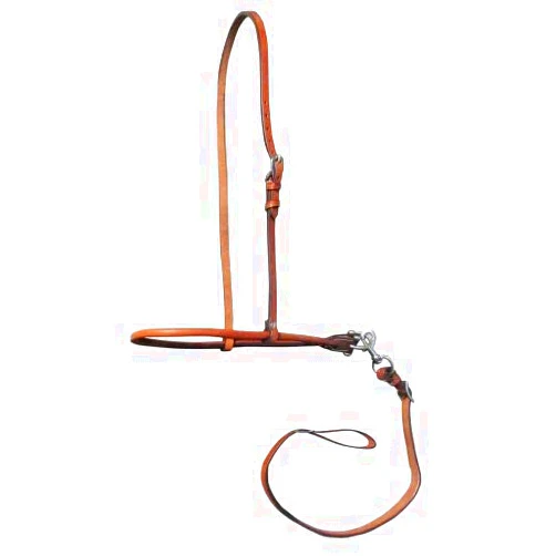 Showman Argentina Cow Leather Rolled Noseband Tie Down w/Strap