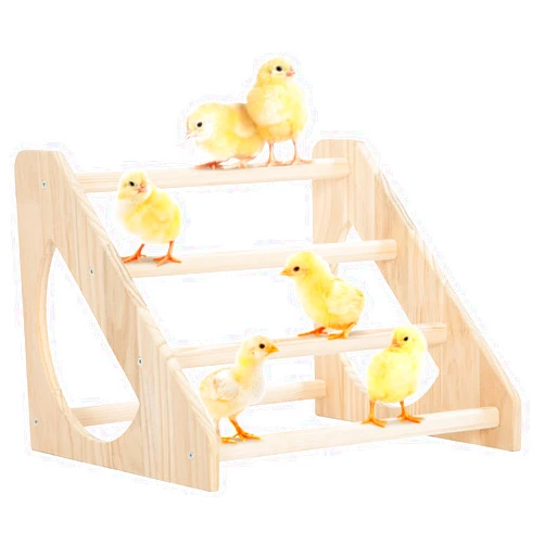 PETSFIT Chick Perch Prevent Rotation Design, Strong Wooden Chicken Roosting Bar, Easy to Assemble and Clean, Fun Toys for Chick Indoor/Outdoor Use