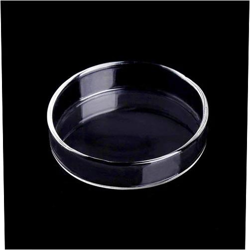 WEAVERBIRD 80mm Aquarium Shrimp Feeder Dish Glass Fish Tank Feeding Bowls Round Clear Dishes Tray