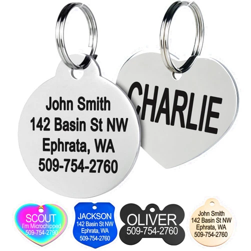 GoTags Stainless Steel Pet ID Tags, Personalized Dog Tags and Cat Tags, up to 8 Lines of Custom Text, Engraved on Both Sides, in Bone, Round, Heart, Bowtie and More (Round, Small (Pack of 1))