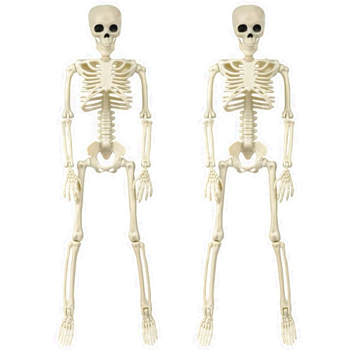 Generic Halloween Skeleton Model Decorations with Movable Arms and Legs Joints, Scary Poseable Plastic Skeletons for Yard Garden Haunted House Graveyard Halloween Party-40CM (2PCS)