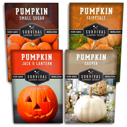 Survival Garden Seeds Pumpkin Collection Seed Vault - Non-GMO Heirloom Seeds for Planting Vegetables - Casper, Fairy Tale, Jack O'Lantern, Small Sugar Pumpkins for Growing in Your Vegetable Garden