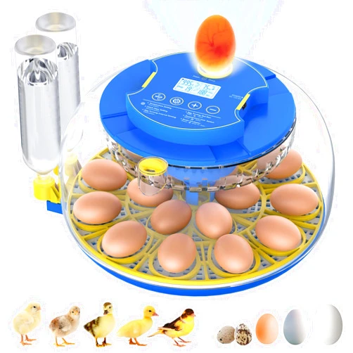 NyPots 18 Egg Incubators for Hatching Eggs with Temperature Control, Egg Incubator with Automatic Egg Turning and Humidity Display, Built-in Egg Candler Incubator for Chicken Eggs, Duck, Goose & Quail