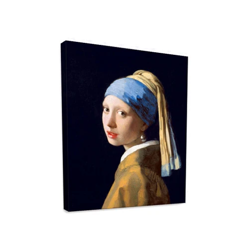 Niwo ART Girl with a Pearl Earring,by Johannes Vermeer - Oil Painting Reproduction - Giclee Wall Art for Home Decor,Office, Gallery Wrapped, Stretched, Framed Ready to Hang (20