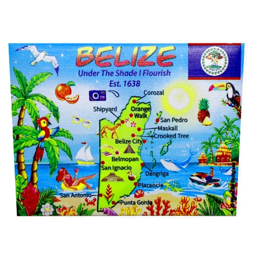 World By Shotglass Belize Graphic Map and Attractions Souvenir Fridge Magnet 2.5