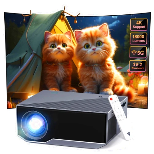 Wielio Projector with WIFI and Bluetooth, 1080P Native Full HD Video Projector, 18000L Movie Projector, 300